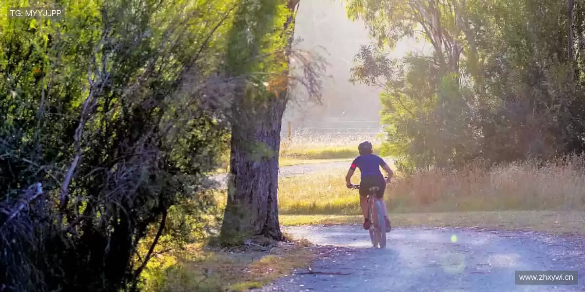 🔥热血赛事,一触即发!⚽🏀